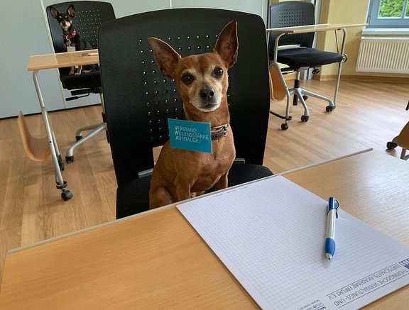 Ein kleiner Hund sitzt an einem Tisch in einem Klassenzimmer. Er trägt ein Schild um den Hals mit der Aufschrift "VERSTAND WILLENSSTÄRKE AUSDAUER". Vor ihm liegt ein leeres Blatt Papier und ein Kugelschreiber. Im Hintergrund ist ein weiterer Hund an einem anderen Tisch zu sehen.